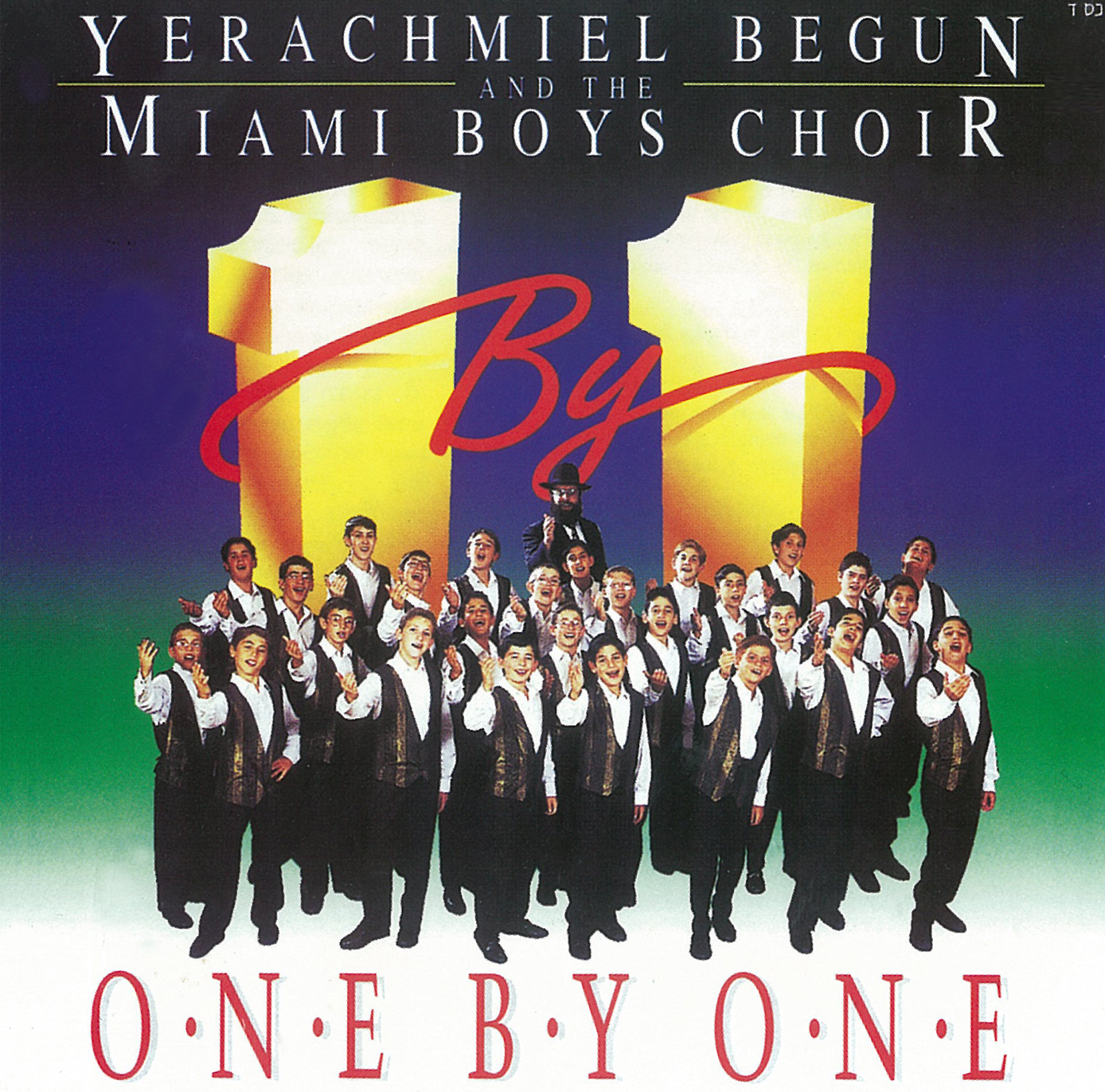 ONE BY ONE (1995)